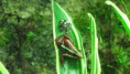 /album/fotogalerie-e-anthonyi/e-anthonyi-samice-se-snuskou-jpg1/